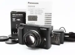 2026年最新】LUMIX DMC-GX7MK2の人気アイテム - メルカリ