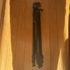 Item thumbnail for item 03d8af03-8405-422c-a016-63dcd38f45d8