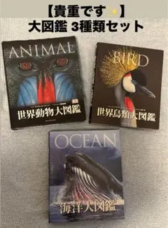【貴重な品です✨】動物・鳥類・海洋大図鑑 3冊セット