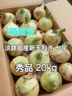 七宝早生⭕️秀品3Lサイズ20Kg ②箱⭕️淡路島新玉ねぎ　たまねぎ　玉葱 七宝早生♦️秀品3Lサイズ20Kg ♦️淡路島新玉ねぎ たまねぎ 玉葱