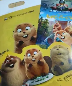 私がビーバーになる時 フライヤー3点セット