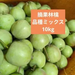 摘果林檎　サンふじりんご他　加工用　10kg 送料込み 53のサムネイル