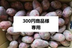 2026年最新】デストロイヤ 10kgの人気アイテム - メルカリ