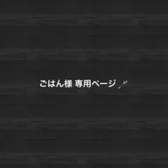 ごはん様 専用ページ