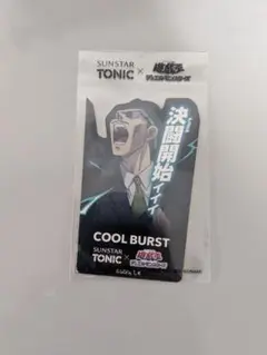 新品　遊戯王　tonic 海馬瀬人　ボトルステッカー　サンスター　遊戯王 トニックシャンプー 遊戯王 ステッカー 海馬瀬人 1枚 サンスター