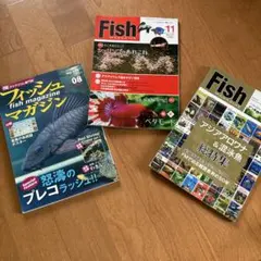 Item thumbnail for item 5eeaf7af-068e-4f3c-8362-9402a8083e67