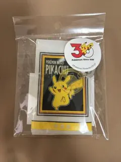 ポケモン ピカチュウ スリコ 30周年記念　pvcポーチ　3COINS