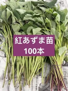 KOMO様 リクエスト 3点 まとめ商品