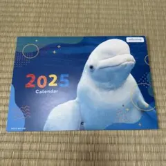 Item thumbnail for item 31f3e377-a08b-4c04-9035-8d63ce215ae9