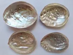 と3　日本海産天然あわび貝殻4個まとめ売り♪送料込み♪