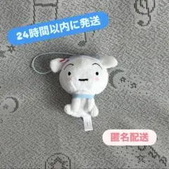 クレヨンしんちゃん ぬいぐるみ マスコット みんなでパジャマパーティだゾ！ シロ