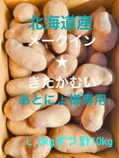 あとにょ様専用 北海道産 メークイン★きたかむい5kgずつ計10kg（Lのみ！）