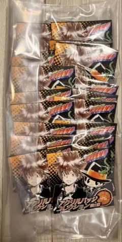 リボーン アクリルバッジコレクション 第１弾 未開封22点