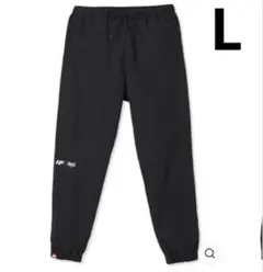 Item thumbnail for item 69934210-f677-4ba7-89b8-4c67e1cad844