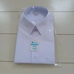 Item thumbnail for item 61fbe7cb-33df-4f10-ac9e-a1b2de9d5674