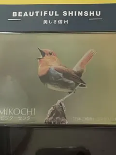 Item thumbnail for item 544cc6bc-531d-4dcc-9065-017787ec2f11