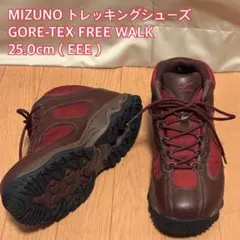 【美品】ミズノ GORE-TEX 登山靴 25.0cm 防水 EEE