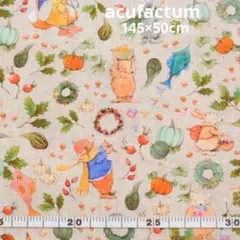 Item thumbnail for item 67d7cefa-8e11-41d6-8c91-4360182c8c4c