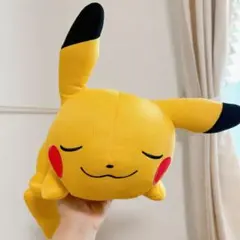 PokePARK 2005 おやすみピカチュウ ぬいぐるみ - メルカリ
