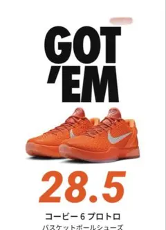 Nike Kobe 6 Protro 