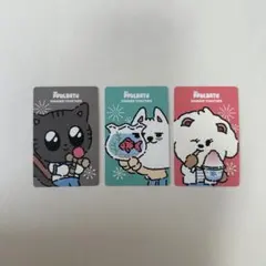 プルバトゥ Summer POPUP 特典 ヨンモン ダゴニャン バムグッ