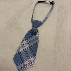 Item thumbnail for item 6e5f399d-7505-467f-b6e0-458b9b3c8bec