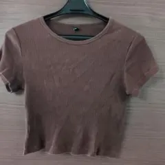ブラウン リブ編み 半袖Tシャツ