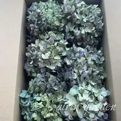 七子様 リクエスト 2点 まとめ商品