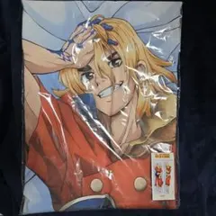 七海龍水 プレミアム抱き枕カバー Dr.STONE - メルカリ