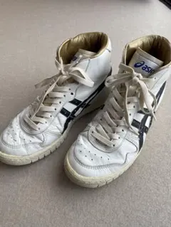 Item thumbnail for item 8e2778c0-b88f-4a7b-ae3a-4dcaa12de276