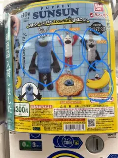 パペットスンスン つまんでつなげてひょっこり！ますこっと セミコンプ