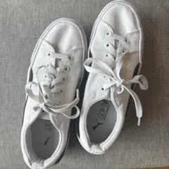 PUMA SOFTFOAM スニーカー ホワイト　23.0