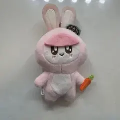 SEVENTEEN ボンボンイ 着ぐるみBONGBONG