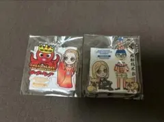 新品未開封】6/20愛知・8/28 東京 アクキー 2種セット 浜崎あゆみ