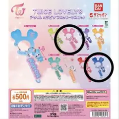 TWICE モモ ツウィ MOMO TZUYU カラビナセット