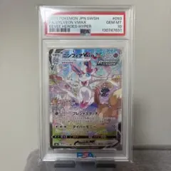 2026年最新】ニンフィアv saの人気アイテム - メルカリ