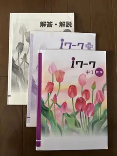 iワーク 中1 数学 3冊セット
