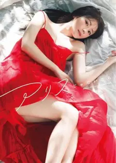 アリスじゃないなら　込山榛香　1st 写真集　フォトブック　AKB48 アイドル