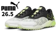 PUMA プーマ シャドウキャットニトロ ディスク スパイクレス ゴルフシューズのサムネイル