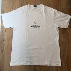 Stussy フォトプリント Tシャツ L ステューシー USA製