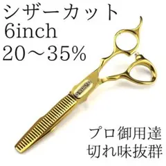 カットシザー 新品 6インチ 理容 美容 鋏 シザー すきバサミ ゴールド