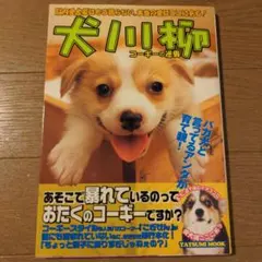 Item thumbnail for item d3b02c37-dacc-4b83-b764-e6bbfa7fcc94