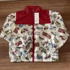 Item thumbnail for item 49b8f039-640e-46fc-bf7c-38c0e96f38ea