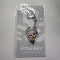 Snow Man LIVE TOUR 2022 岩本照　すのチル　キーホルダー