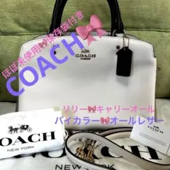 綺麗✨COACH コーチ アンドレア キャリーオール 2WAY きれいめコーデ 