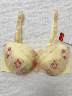 新品　アモスタイルバイトリンプ　AMST1127　ブラジャー　D70