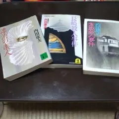 内田康夫 文学・小説　101冊セット 2025年最新】内田康夫の人気アイテム - メルカリ