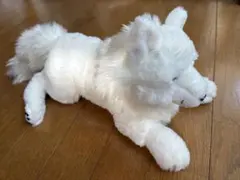 貴重 ひざきつね ぬいぐるみ 白キツネ サンレモン 白狐 WH - メルカリ