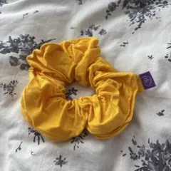 Item thumbnail for item a6537051-011e-478f-a72f-6e164ea54ed0