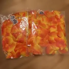 闘魂　オレンジレイ2026